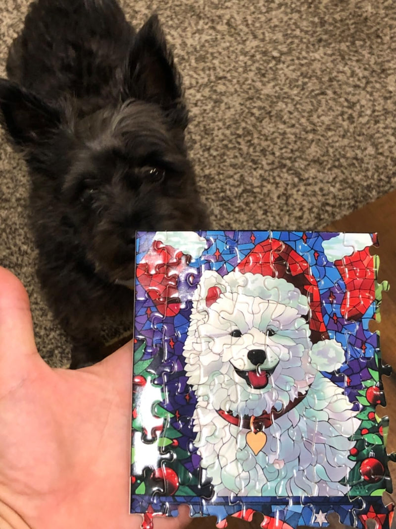 Customer photo: a small black dog next to the finished Samoyed tile