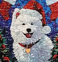 Dog 1 of 24
