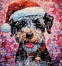 Dog 3 of 24