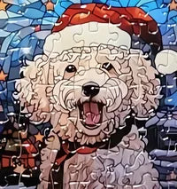 Dog 4 of 24