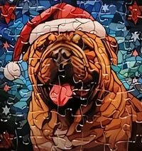 Dog 7 of 24