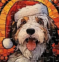 Dog 8 of 24