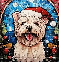 Dog 9 of 24