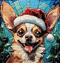 Dog 11 of 24