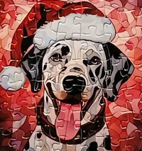 Dog 13 of 24