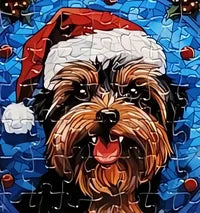 Dog 14 of 24