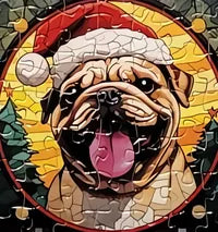 Dog 16 of 24