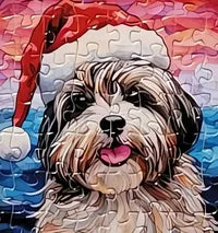 Dog 17 of 24