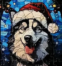 Dog 18 of 24
