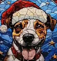 Dog 19 of 24
