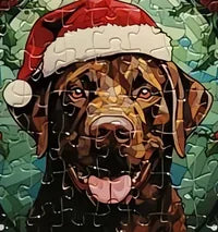 Dog 20 of 24