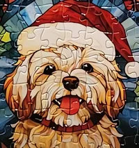 Dog 21 of 24