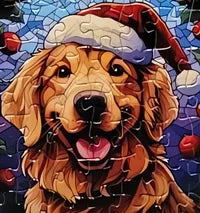 Dog 22 of 24