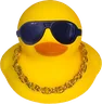 Christmas Duck: shades gold chain